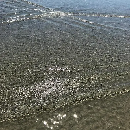 Апартамент омния Черноморец