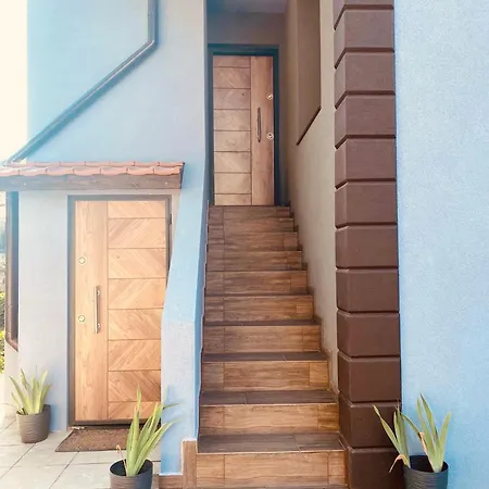 омния * Černomorec