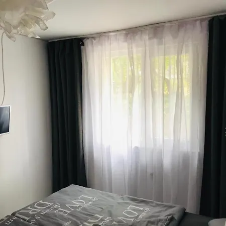 омния * تشيرنوموريتس